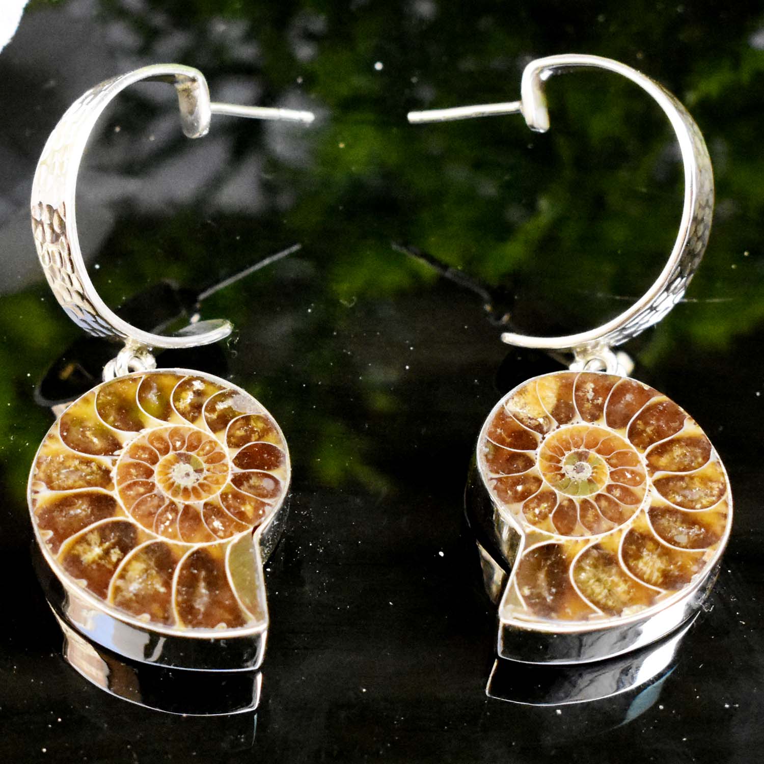 Ammonite Studs Earring